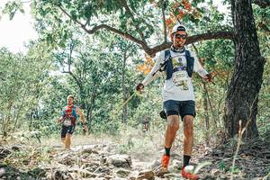 BIB: 
                            <button type="button" onclick="openModal(26103495)" class="btn btn-primary btn-sm float-right btn-popup" data-toggle="modal" data-target=".modal-high-quality">
                        <i class="fas fa-shopping-cart"></i> Add to Cart
                    </button>
                                            <button type="button" onclick="isThisMe(26103495, true)" class="btn btn-success btn-sm float-right btn-popup btn-isme hidden" data-toggle="tooltip" data-placement="bottom" title="นี่คือรูปของคุณใช่ไหม คลิกที่นี่เพื่อเอาเข้าอัลบั้ม">
                        <i class="fas fa-plus"></i> Add to album
                    </button>
                    <button type="button" onclick="isThisMe(26103495, false)" class="btn btn-warning btn-sm float-right btn-popup btn-isnotme hidden">
                        <i class="fas fa-ban"></i> Remove from album
                    </button>